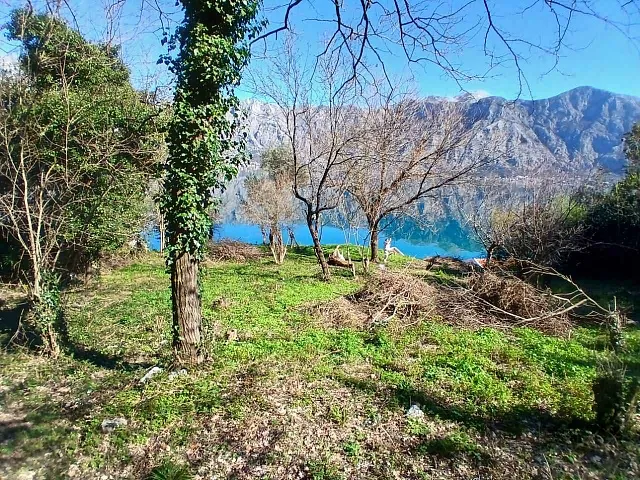 For Sale: Prime Waterfront Plot in Stoliv, Kotor – 2,200 m²